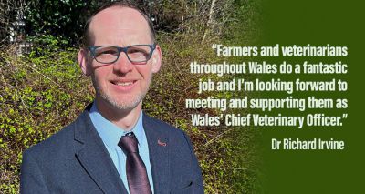 Wales’ new chief veterinary officer starts role